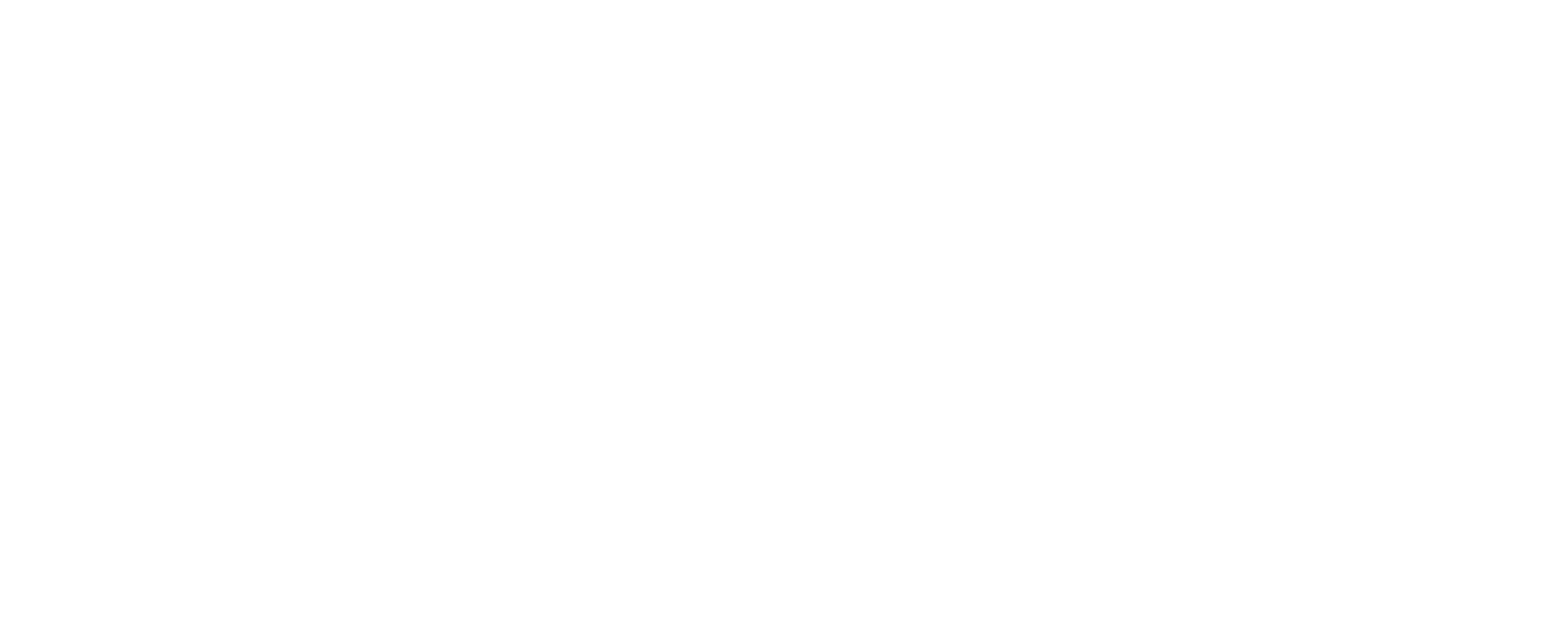 Embark